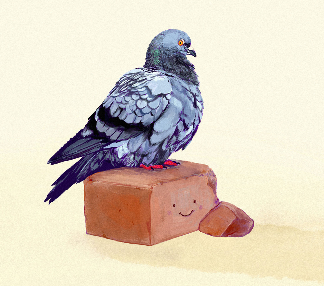  A pigeon with ruffled feathers sitting on a happy red brick